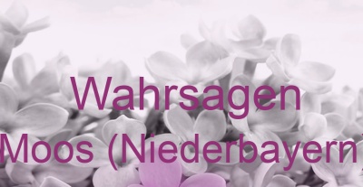 Wahrsagen Moos (Niederbayern) | Top-Experten für Kartenlegen, Wahrsagen, Hellsehen, Zukunftsdeutung.